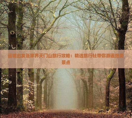 运城出发张家界天门山旅行攻略：精选旅行社带你游遍绝美景点