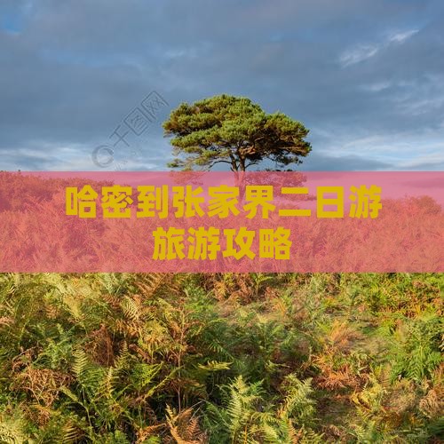哈密到张家界二日游旅游攻略