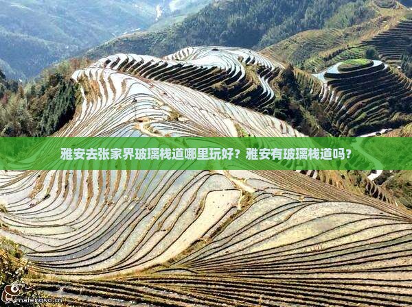 雅安去张家界玻璃栈道哪里玩好？雅安有玻璃栈道吗？