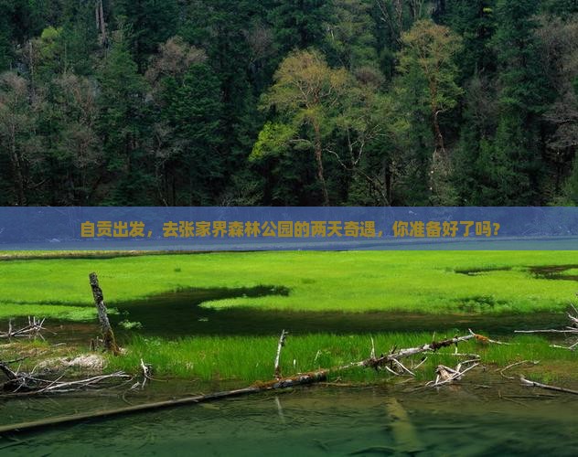 自贡去张家界森林公园二日游