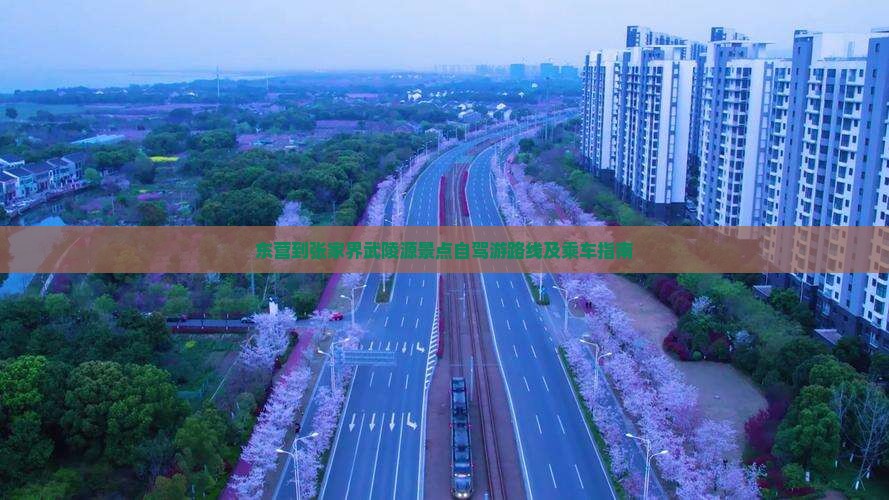 东营到张家界武陵源景点