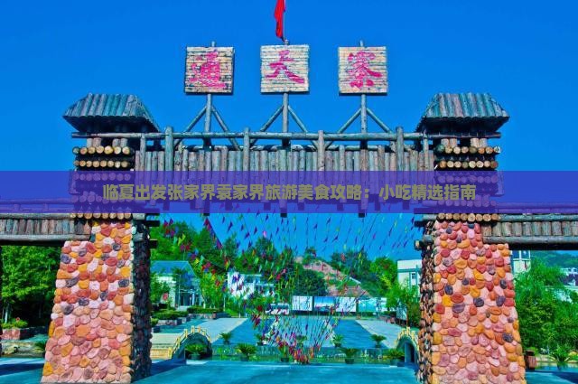 临夏到张家界袁家界旅游小吃