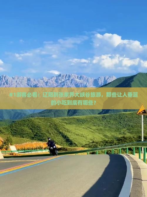 辽阳到张家界大峡谷旅游小吃