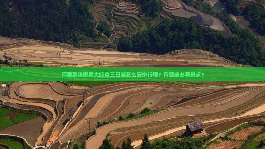 阿里到张家界大峡谷三日游