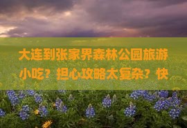 大连到张家界森林公园旅游小吃