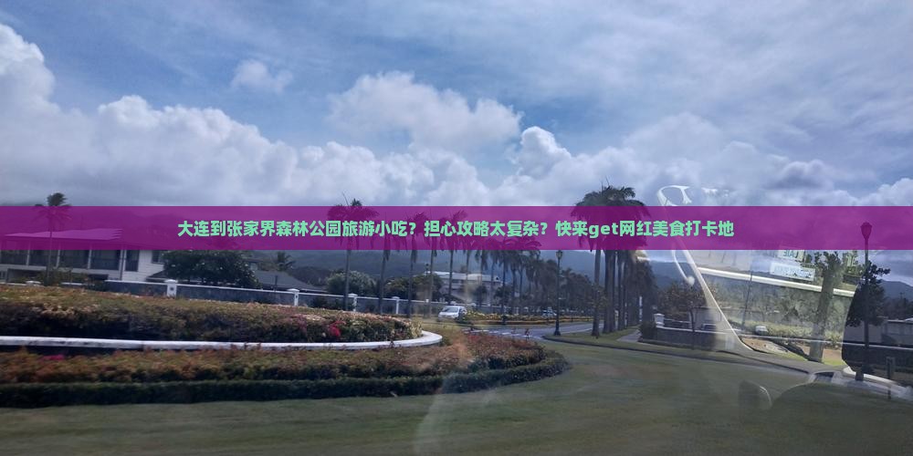 大连到张家界森林公园旅游小吃