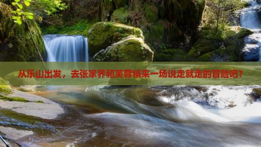 乐山去张家界芙蓉镇旅游