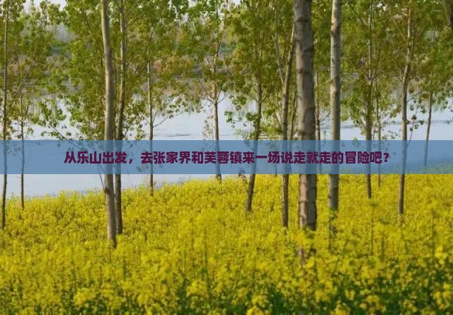 乐山去张家界芙蓉镇旅游