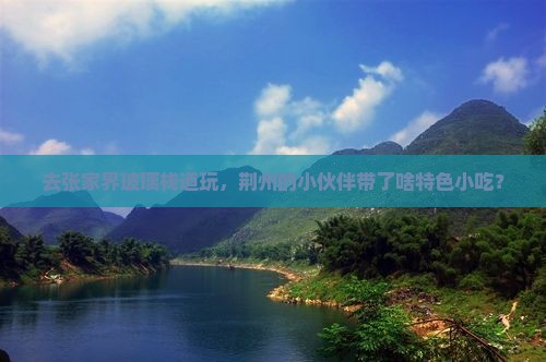 荆州去张家界玻璃栈道旅游小吃