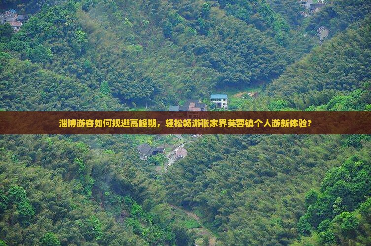 淄博到张家界芙蓉镇个人游