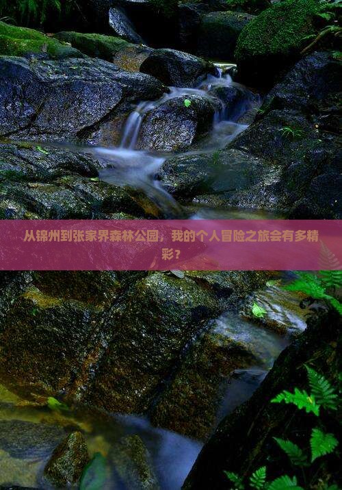 锦州去张家界森林公园个人游