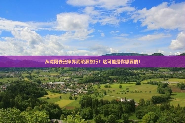 沈阳到张家界武陵源旅行社