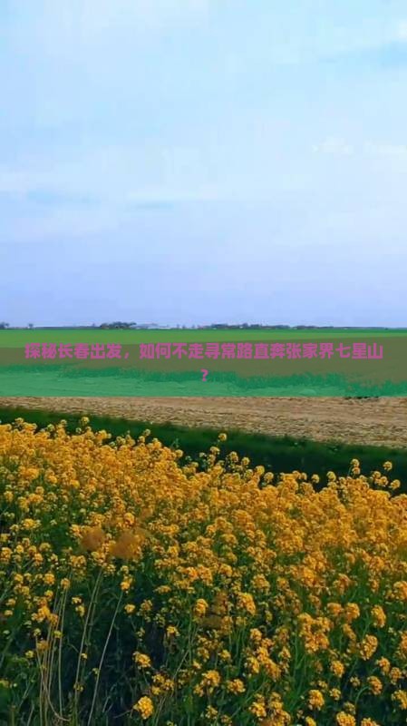 长春去张家界七星山攻略