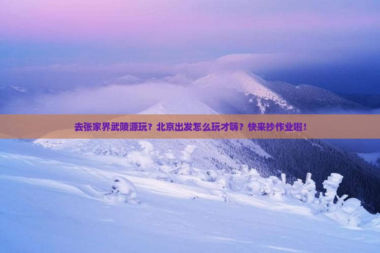 北京去张家界武陵源哪里玩