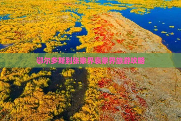 鄂尔多斯去张家界袁家界大型旅游团