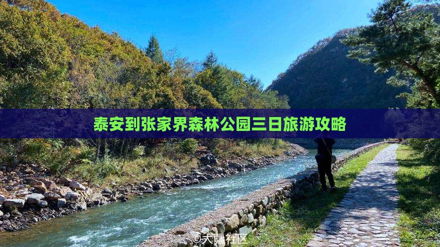 泰安去张家界森林公园三日游