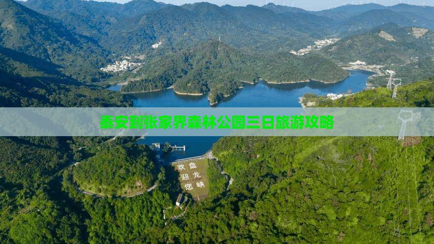 泰安去张家界森林公园三日游