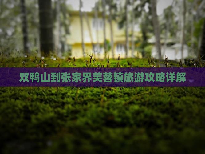 双鸭山去张家界芙蓉镇旅游
