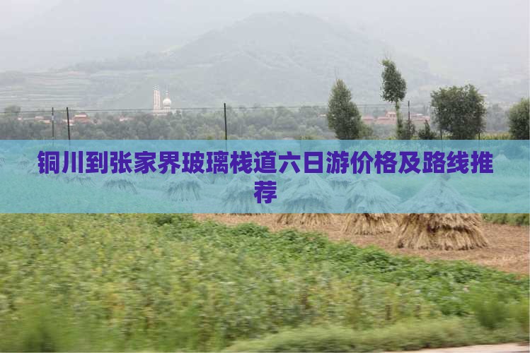 铜川到张家界玻璃栈道六日游