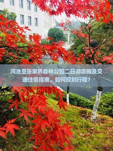 河池去张家界森林公园二日游