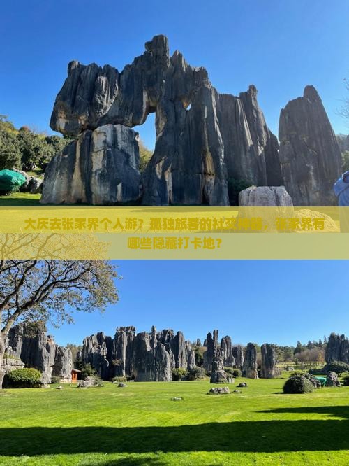 大庆去张家界个人游