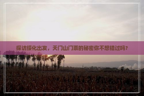 绥化去张家界天门山门票