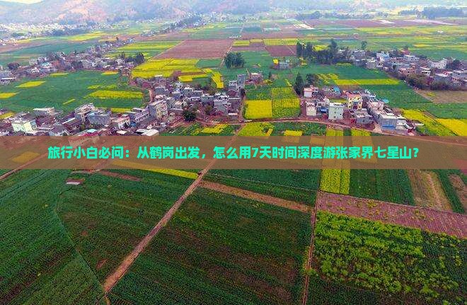 鹤岗去张家界七星山哪里玩 鹤岗去张家界七星山哪里玩