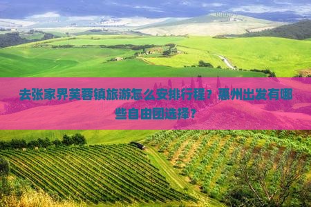 惠州去张家界芙蓉镇自由团