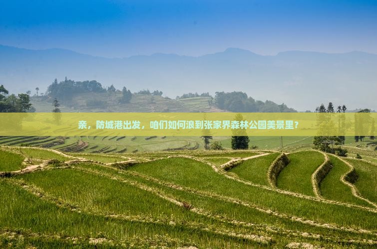 防城港到张家界森林公园景点