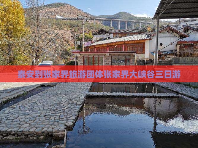 泰安去张家界大峡谷团体旅游