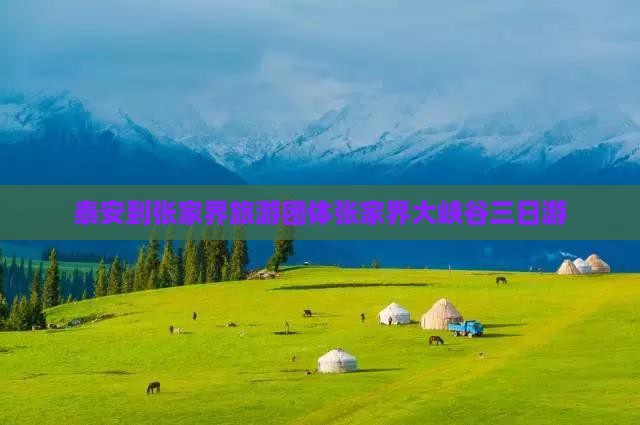 泰安去张家界大峡谷团体旅游