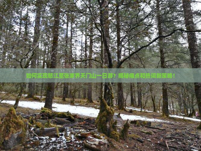 怒江去张家界天门山一日