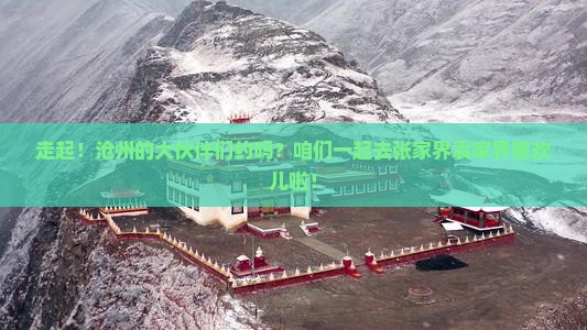 沧州去张家界袁家界大型旅游团 沧州去张家界袁家界大型旅游团