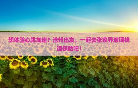 沧州去张家界玻璃栈道旅行社