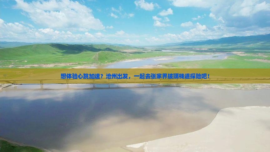 沧州去张家界玻璃栈道旅行社