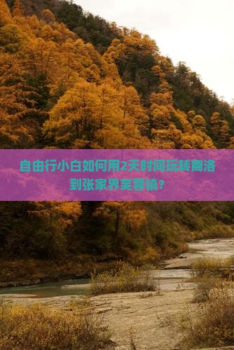 商洛去张家界芙蓉镇二日游