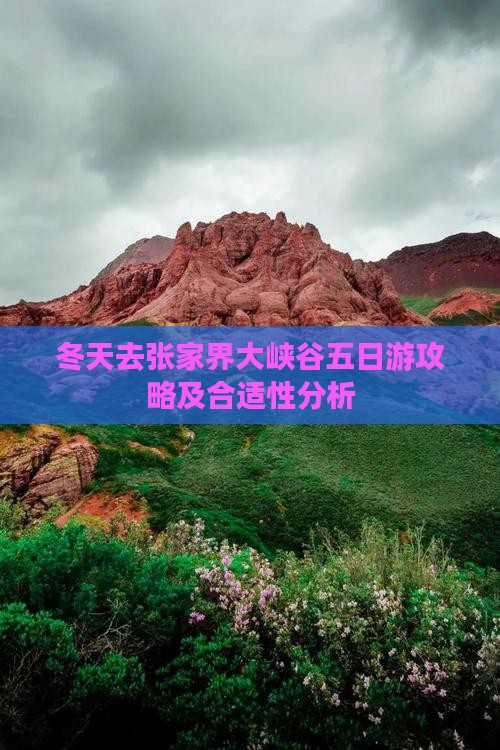 冬天去张家界大峡谷五日游