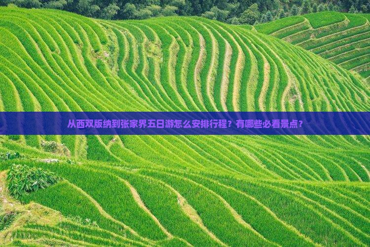 西双版纳到张家界五日游