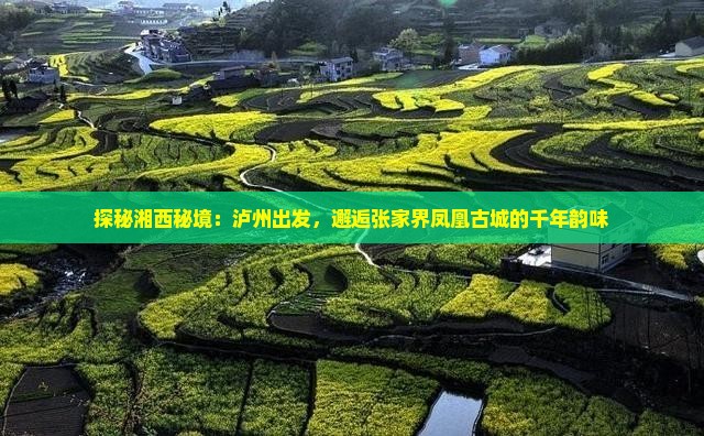 泸州去张家界凤凰古城旅游