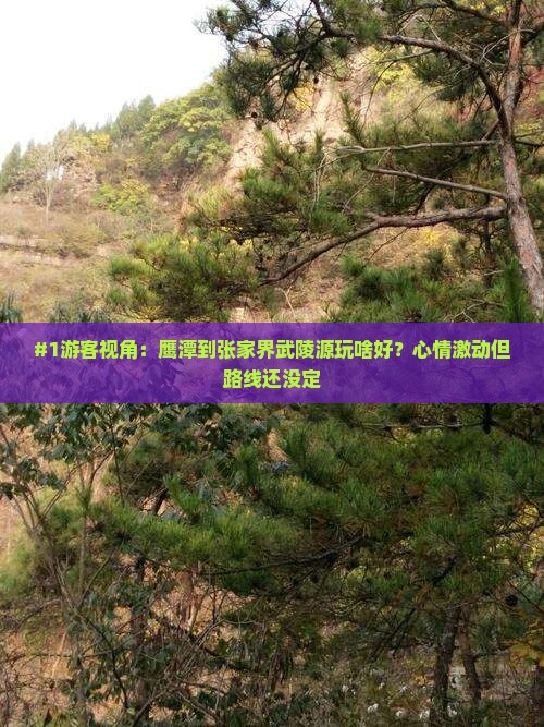 鹰潭去张家界武陵源景点