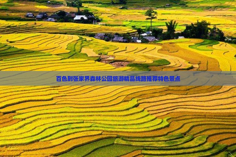 百色去张家界森林公园团体旅游