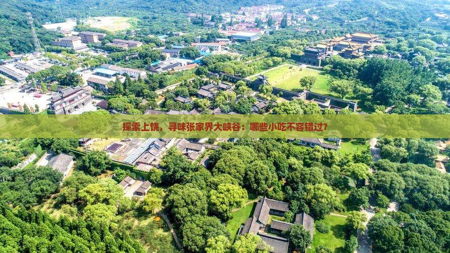 上饶去张家界大峡谷旅游小吃