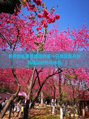 冬天到张家界玻璃栈道一日