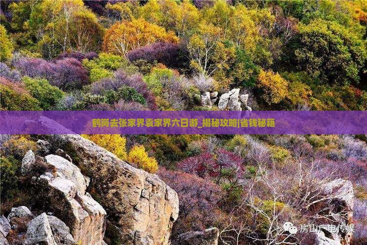鹤岗去张家界袁家界六日游