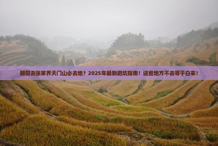 朝阳去张家界天门山必去地