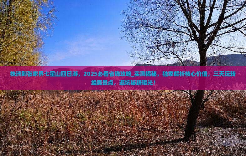 株洲到张家界七星山四日游 株洲到张家界七星山四日游
