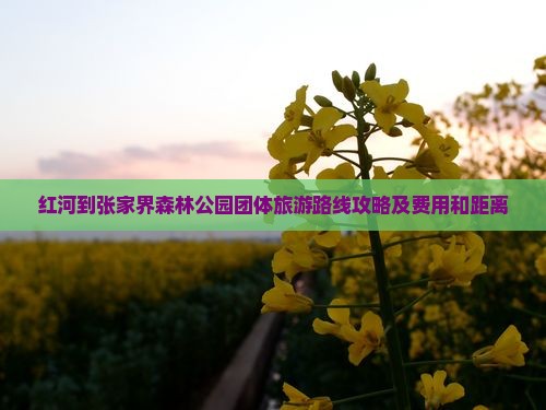 红河到张家界森林公园团体旅游