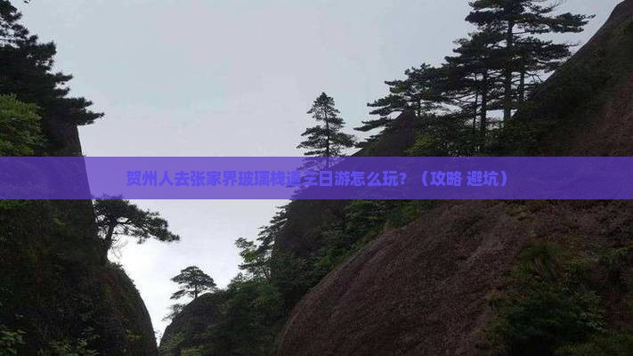 贺州去张家界玻璃栈道三日游