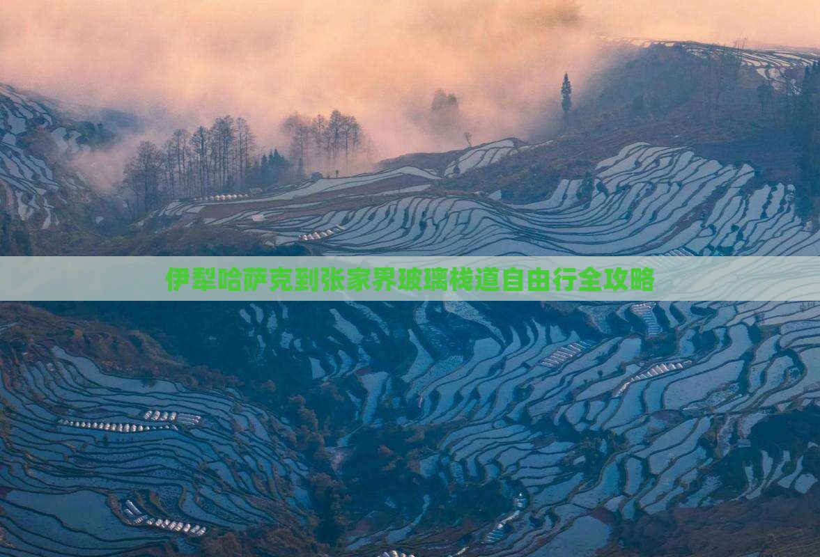 伊犁哈萨克到张家界玻璃栈道自由行