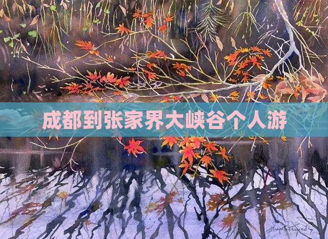 成都到张家界大峡谷个人游